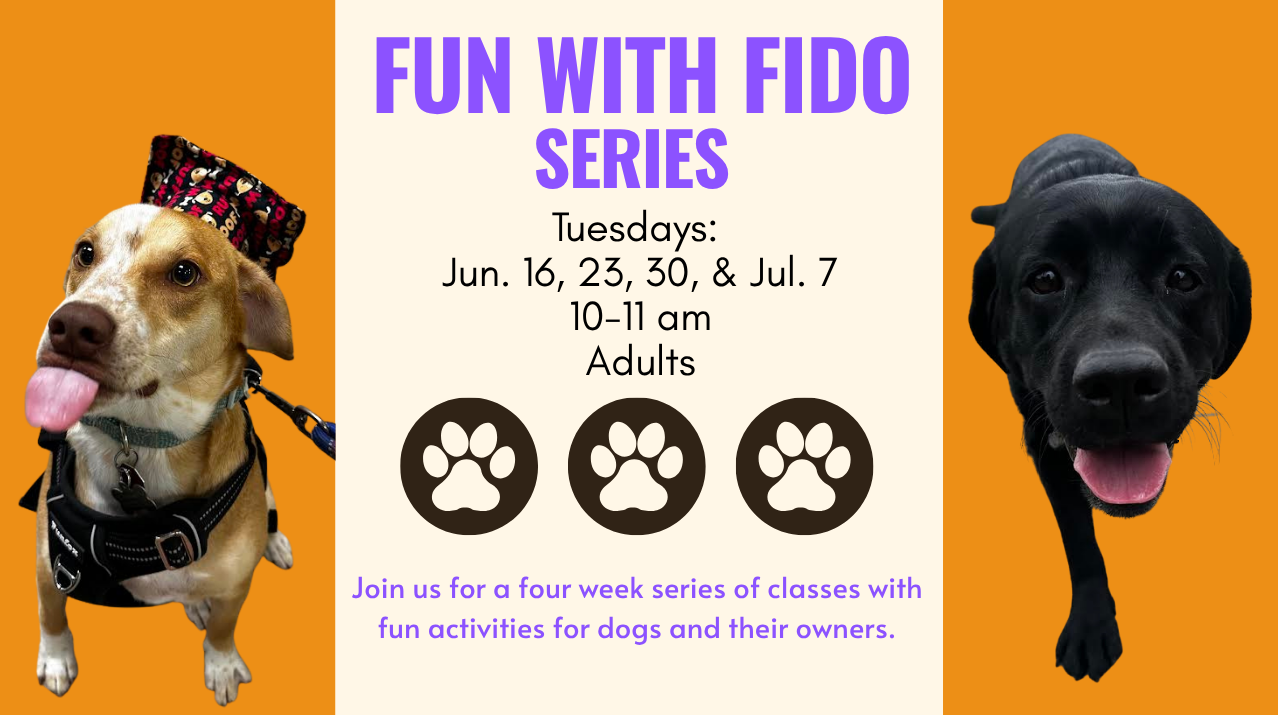 Fun with Fido