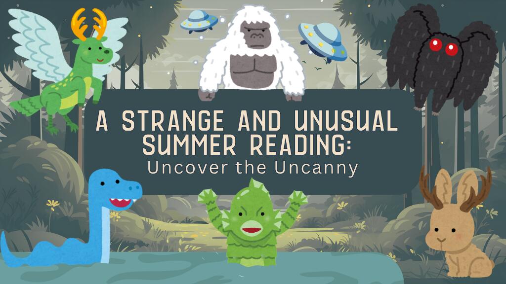 Summer Reading Program Banner