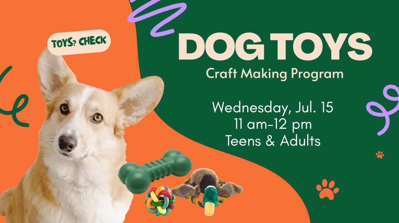 DIY Dog Toys