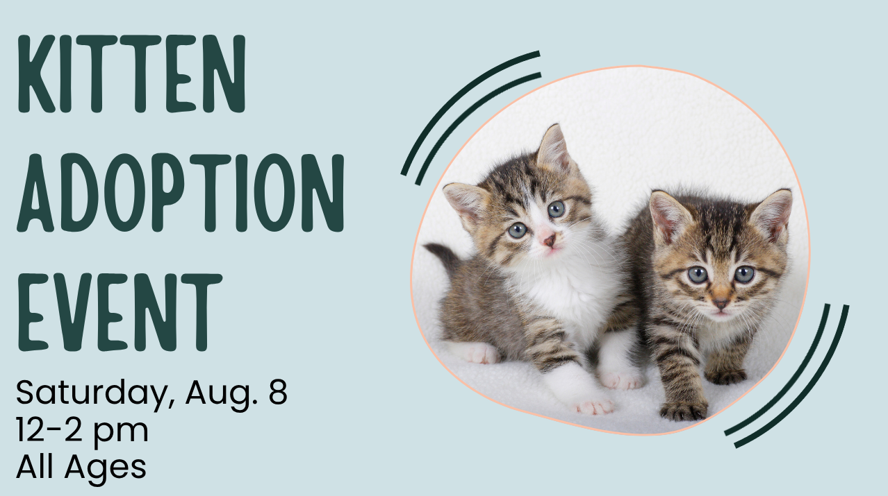 Kitten Adoption Event