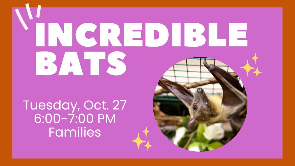 Incredible Bats Oct. 27 6-7 PM Families