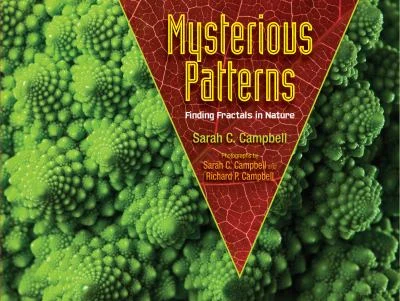 Cover of Mysterious patterns : finding fractals in nature